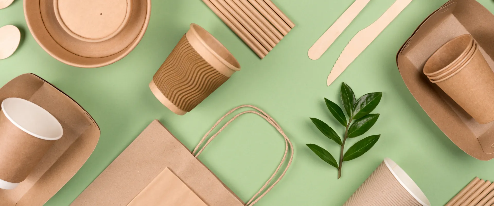 bagasse products